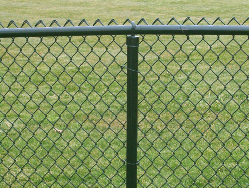 photo of 48" Vinyl Coated Chain Link