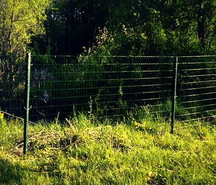 photo of 48" Welded Mesh Wire